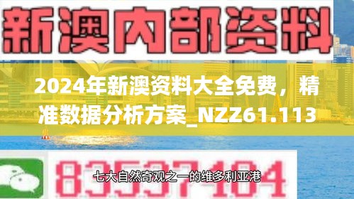 2025新澳精准正版免費資料和2025年正版资料免费,词语释义、专家解析解释与落实与警惕虚假宣传
