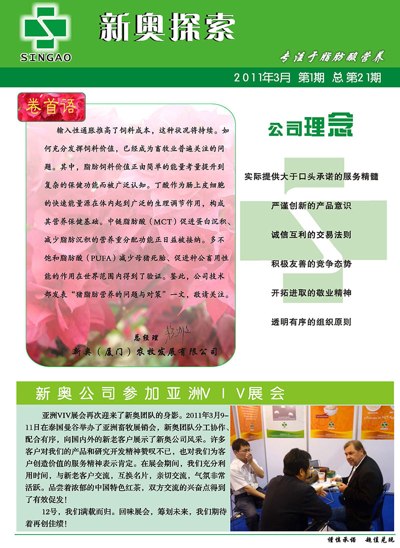 2025新澳精准正版免费大全,词语释义、专家解析解释与落实与警惕虚假宣传